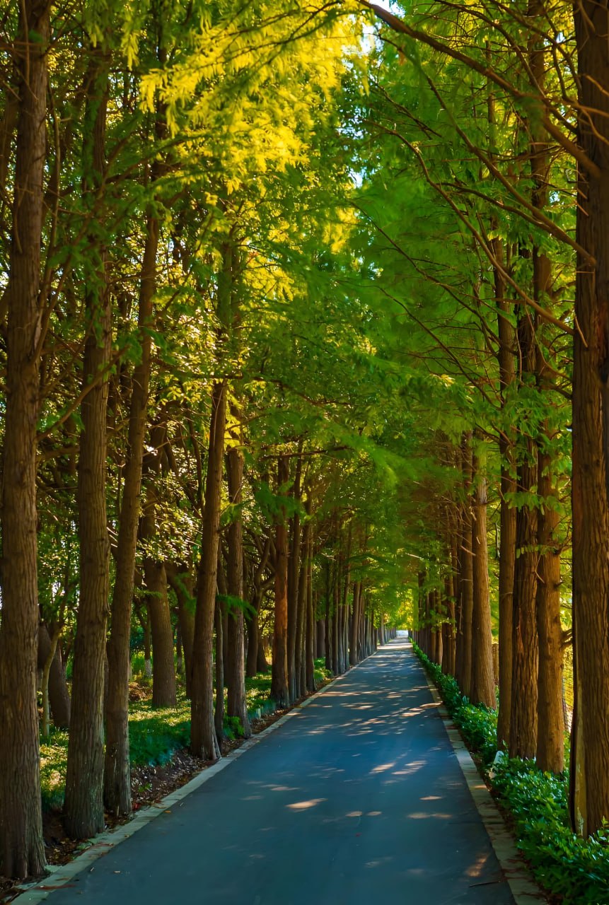大江大河